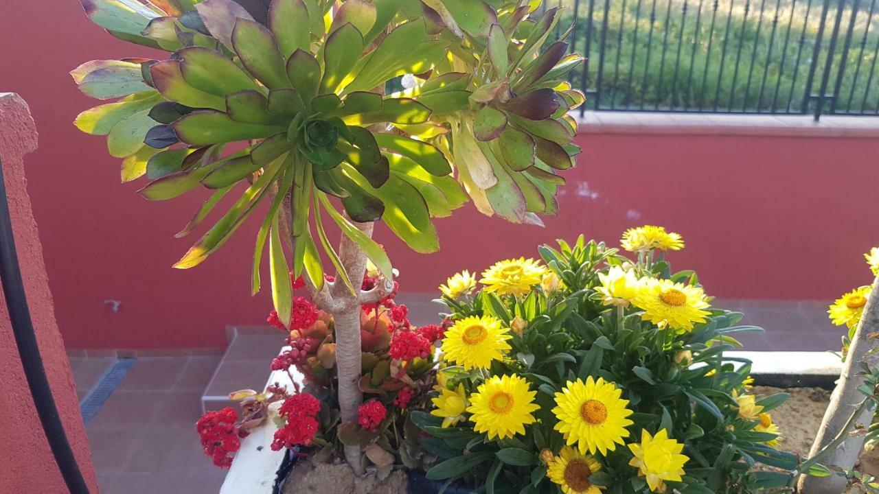 جيلا Lilium In B&B المظهر الخارجي الصورة
